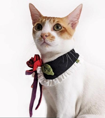 Rose Pet Collar